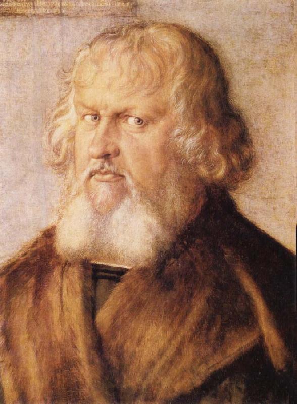 Albrecht Durer Portrait of Hieronymus Holzschuher oil painting picture